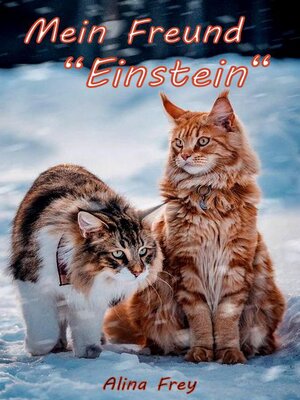cover image of Mein Freund "Einstein"